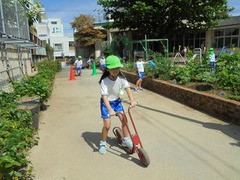 DSC01203