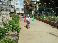 DSC01206