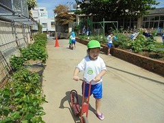 DSC01208