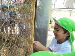 DSC01210