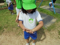 DSC01229