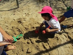 IMG_0611