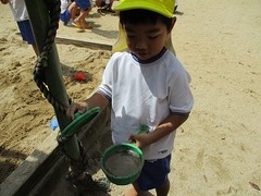 IMG_0654