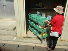 IMG_8159