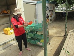 IMG_8161