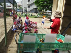 IMG_8162
