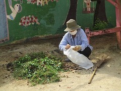IMG_8169