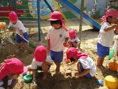 IMG_8185