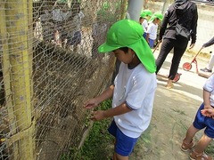IMG_8197