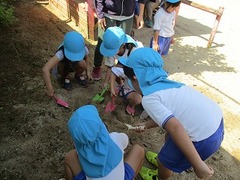 IMG_8205