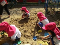 IMG_8210