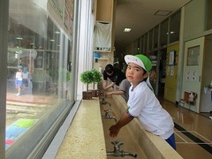 IMG_8218