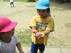 IMG_8220