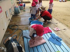 IMG_8228