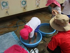 IMG_8230