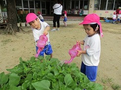 IMG_0544
