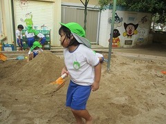 IMG_7901