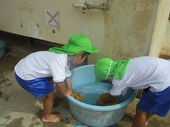 IMG_7947