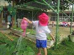 IMG_7973