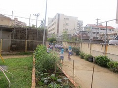 IMG_7977