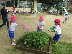 IMG_7985