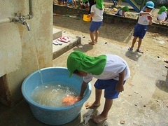 IMG_8007