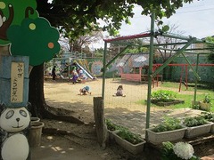 IMG_8011