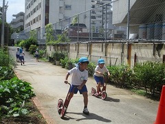 IMG_8012