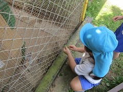 IMG_8019