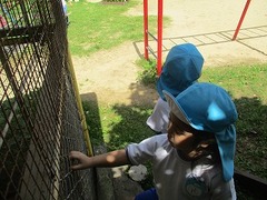 IMG_8020