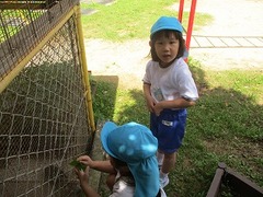 IMG_8021