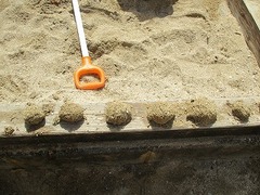 IMG_8028