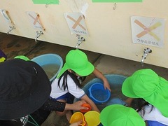 IMG_8042