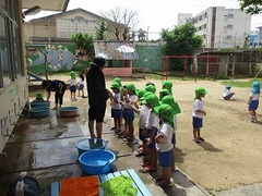 IMG_8063