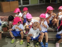 IMG_8067