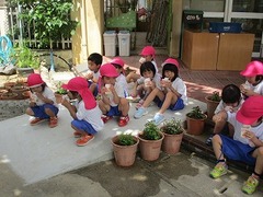 IMG_8068
