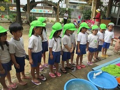 IMG_8074