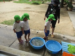 IMG_8088