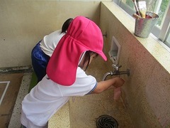IMG_8094