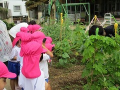 IMG_0488