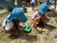 IMG_0593