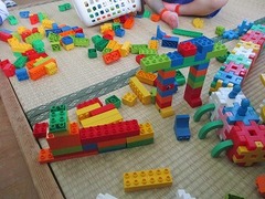 IMG_7513
