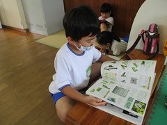 IMG_7541