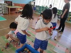 IMG_7545