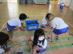 IMG_7550