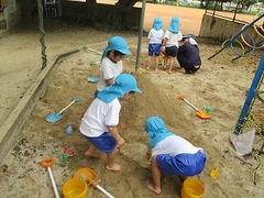 IMG_7684