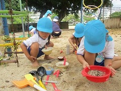 IMG_7686