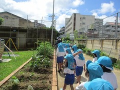 IMG_0437