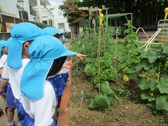 IMG_0438