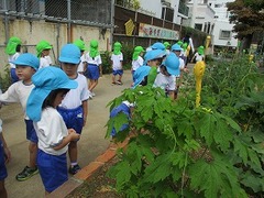 IMG_0441